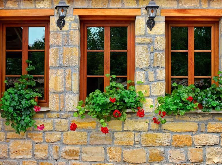 Wood Windows